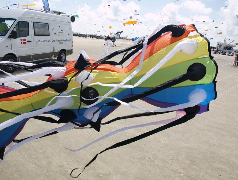 Fanø 2009 64.jpg